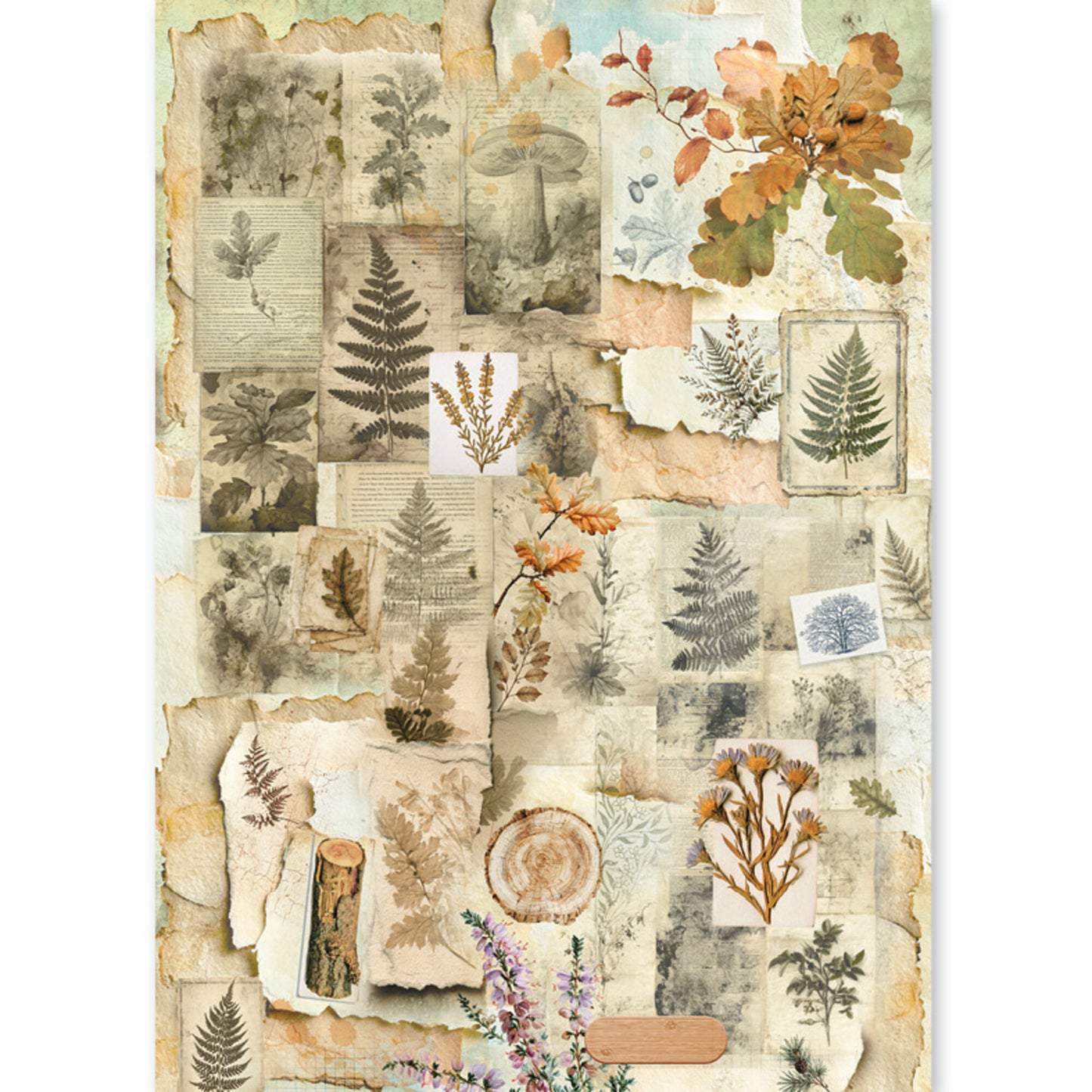 Ciao Bella The Nature Journal A5 Rice Paper Mixed (8pcs)