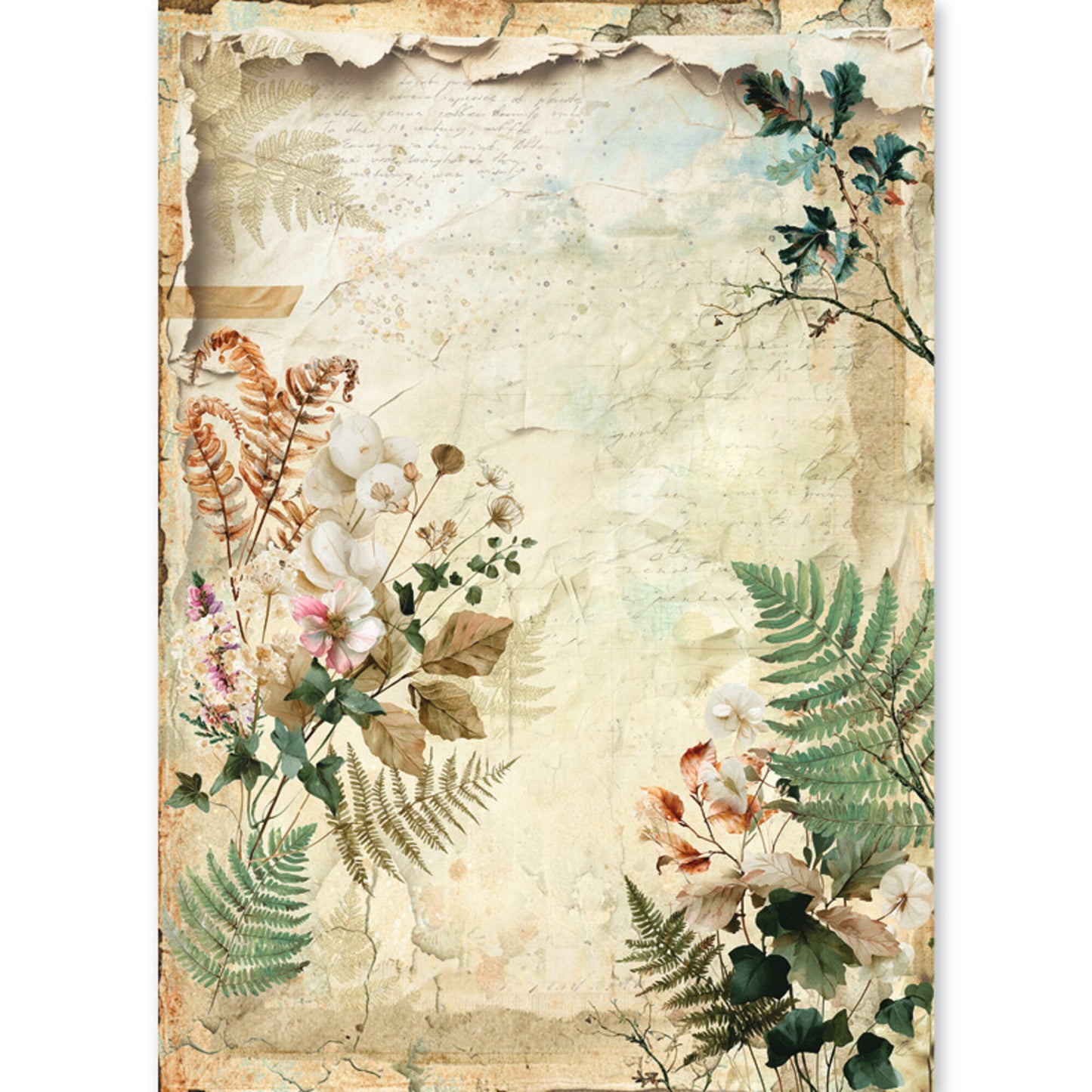 Ciao Bella The Nature Journal A5 Rice Paper Mixed (8pcs)