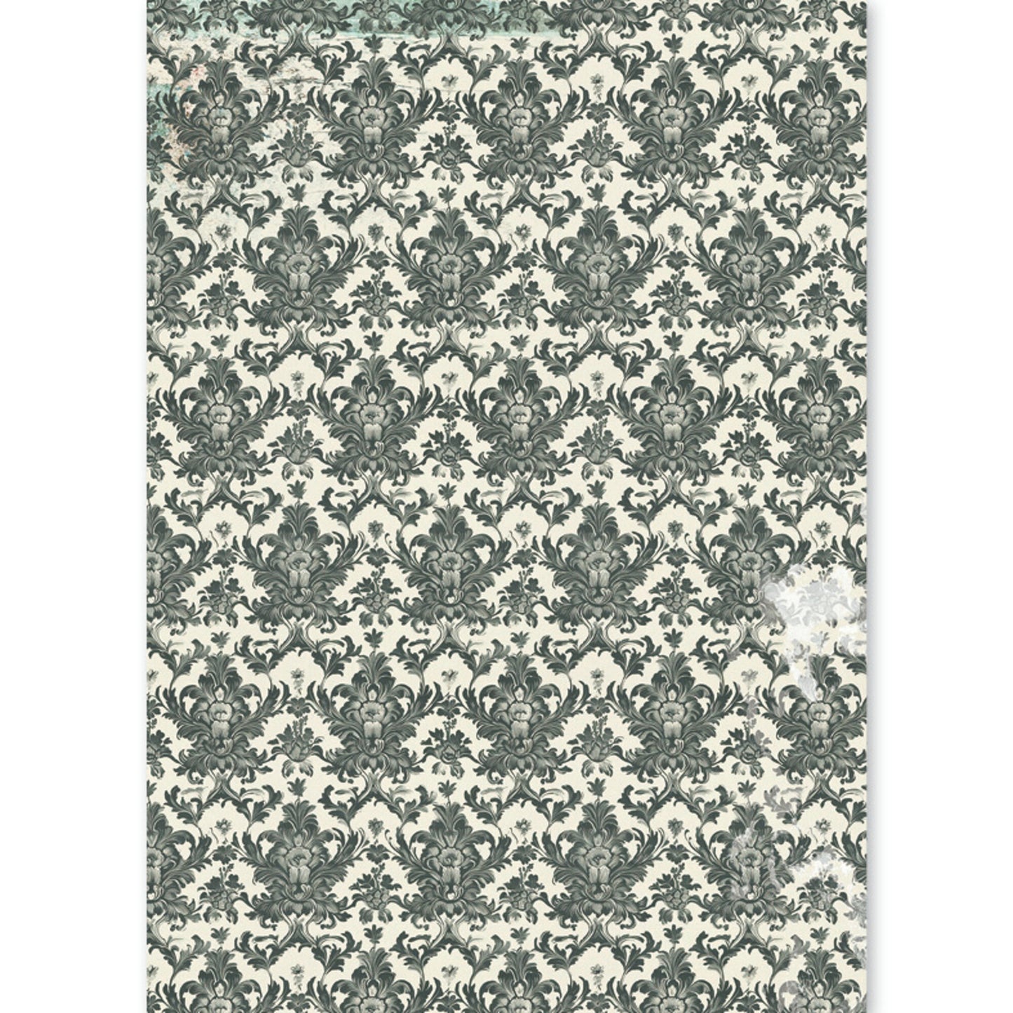 Ciao Bella The Witch's Grimoire A5 Rice Paper Mixed (8pcs)