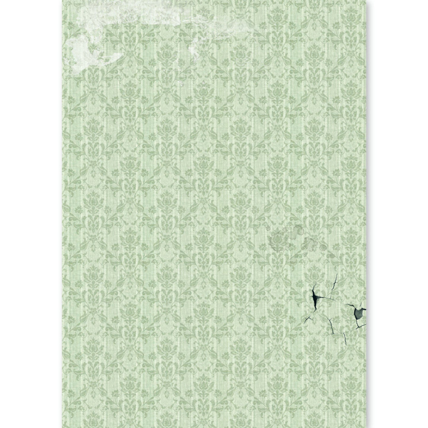 Ciao Bella The Witch's Grimoire A5 Rice Paper Mixed (8pcs)