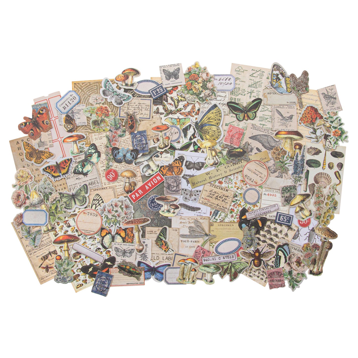 Idea-ology Tim Holtz Ephemera Snippets 134 Pcs - Field Notes