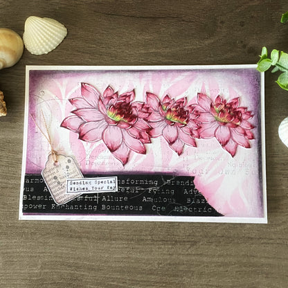 PC-155 - 6"x6" Stencil - Folium