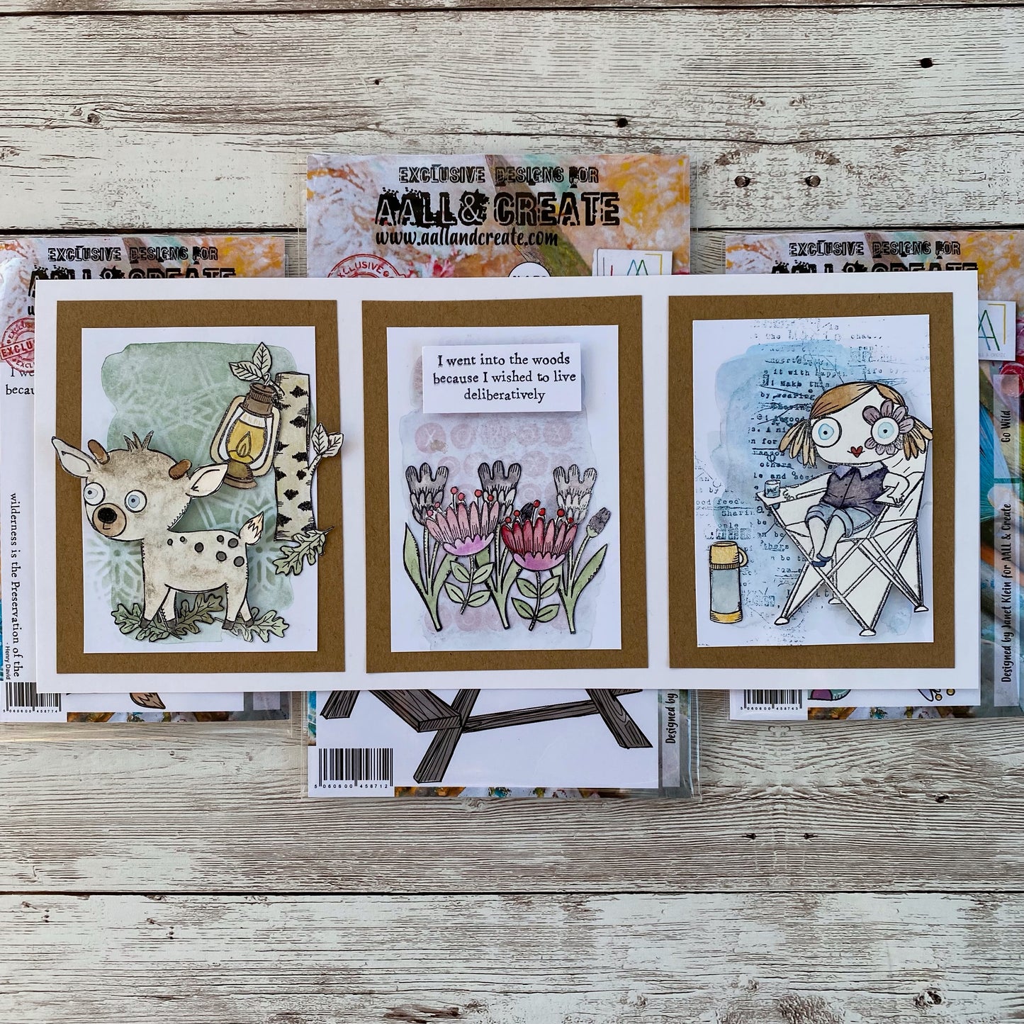 #656 - A7 Clear Stamp Set - Go Wild