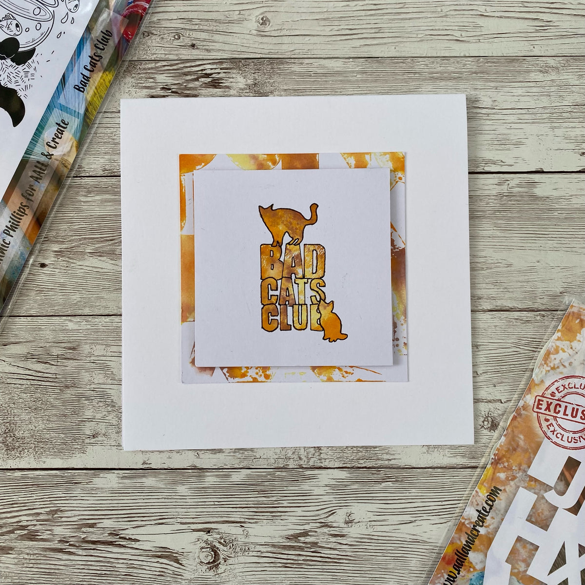 TP-793 - A5 Clear Stamp Set - Bad Cats Club