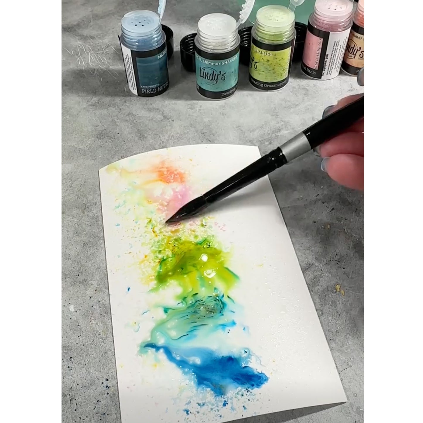 Lindy's Gang Katie Pertiet's Field Notes Magical Shaker 2.0 SET