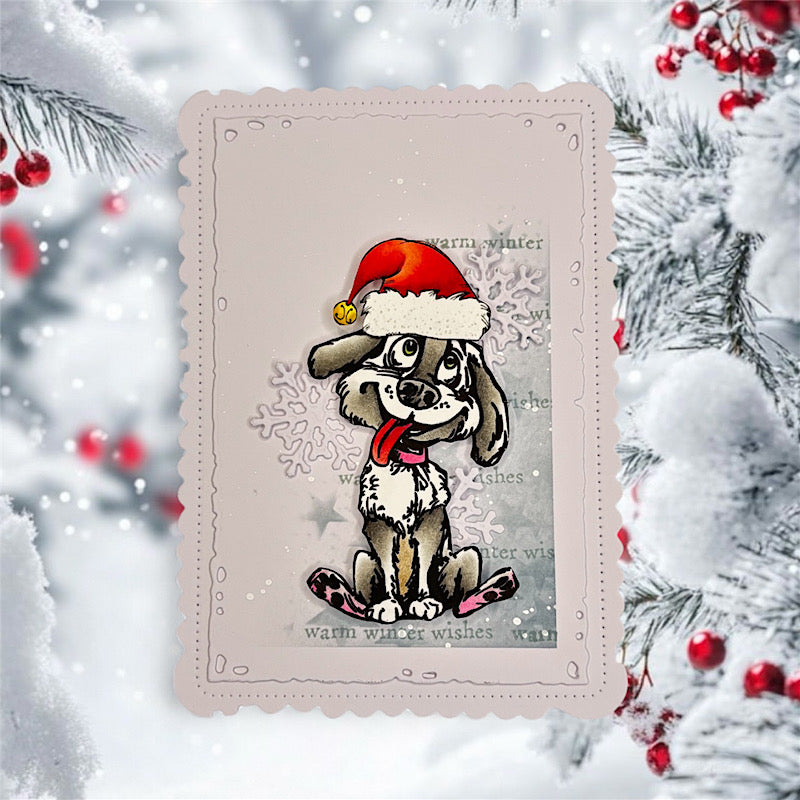 August 2025 - Christmas Complete Collection