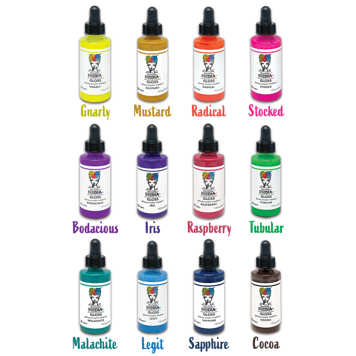 Ranger Dina Wakley Media Gloss Droppers Complete Collection - 12 Colours